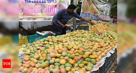 Season to savour local variety mangoes | Kochi News - Times of India
