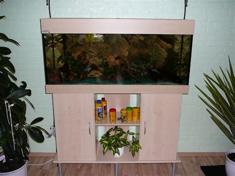 Komplett Aquarium 240l Monate alt in Sottrum | Tiere | Kleinanzeigen