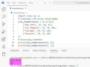 How to Make a 2D Array in Python 的图像结果