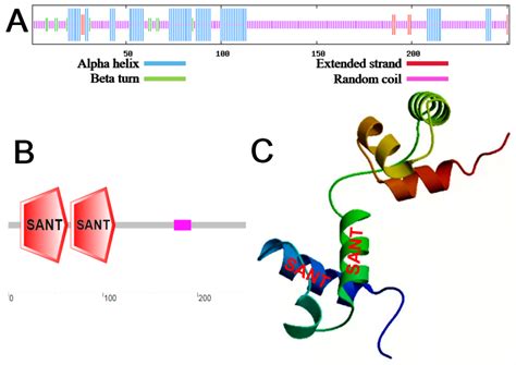 Overexpression of a Malus baccata MYB Transcription Factor Gene MbMYB4 ...