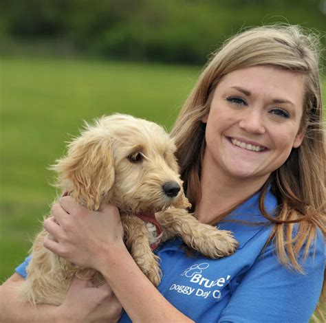 Image result for Cockapoo Care