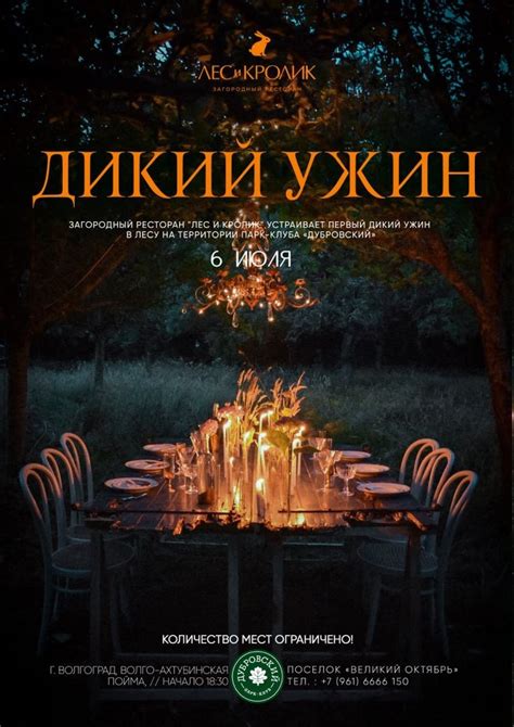«Дикий ужин» - Загородный ресторан "Лес и Кролик"