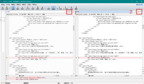 Code Compare Tool 的图像结果