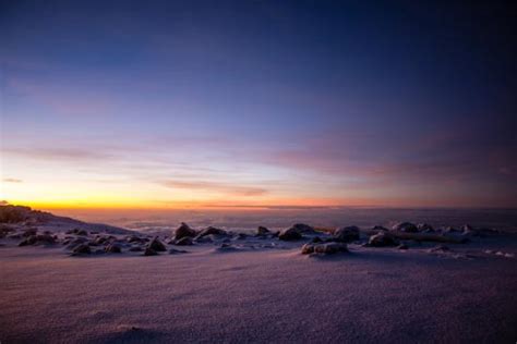 Tin Tin Adventure Safaris & Treks (Moshi) - 2022 What to Know Before ...