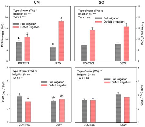 Deficit Irrigation Applied to Lemon Trees Grafted on Two Rootstocks and ...
