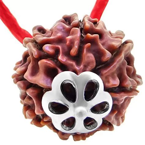 Buy ShivTanta 8 mukhi Rudraksha Natural Pandant & Certified ...