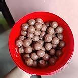 Maltesers Bucket Chocolate, 440 Gm (Pack Of 1) : Amazon.in: Grocery ...