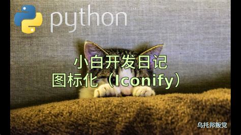 Image result for PyPI Iconify