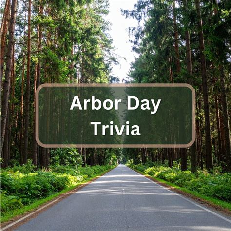 45 Fascinating Christmas Food Trivia Questions and Answers