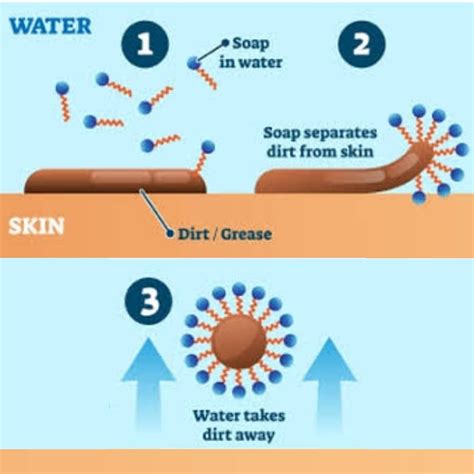 One Pour Tree | Handmade Soaps India on Instagram: "How does Soap Work ...