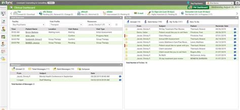 Insync EMR Tutorial 的图像结果