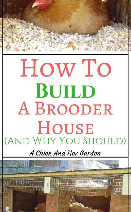 Image result for Brooder House Types