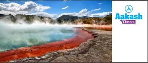 Biotic and Abiotic Factors in Biology: Definition, Types and Importance ...