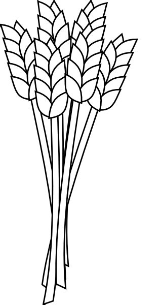 Wheat Stock - Free Coloring Pages