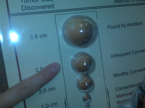 How Big Is 3In at William Deas blog