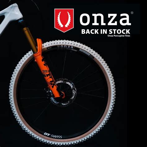 BTI - Bicycle Technologies International on LinkedIn: #cyclingtire #cycling