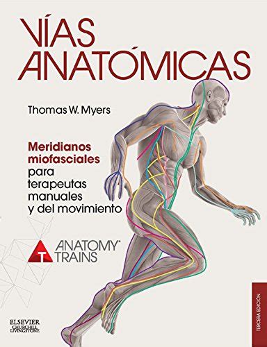 Vías anatómicas. Meridianos miofasciales para terapeutas manuales y del ...