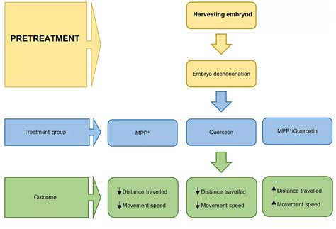 Quercetin rescues MPP+ –induced Parkinsonian-like locomotor impairment ...
