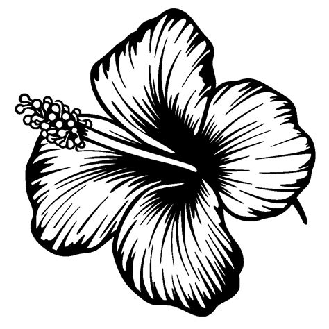 Tropical Flowers Clip Art Black And White Black White Tropical Flower