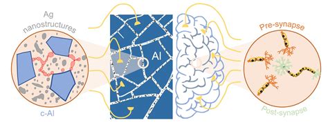 Crack template based Neuromorphic device | Official website of ...