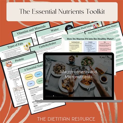 The Essential Nutrients Toolkit | The Dietitian Resource