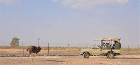 Shaumari Wildlife Reserve, amman, Jordan - Top Attractions, Things to ...