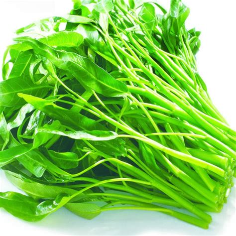 Buy 2000 Kangkong - Rau Muong, Ong Choy, Brown Wạtér Spinạch Seed Water ...