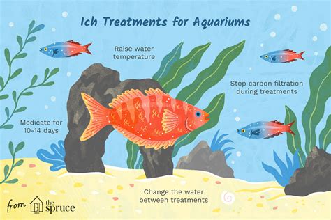 How To Cure Ich In Fish Tank Safely and Naturally Now