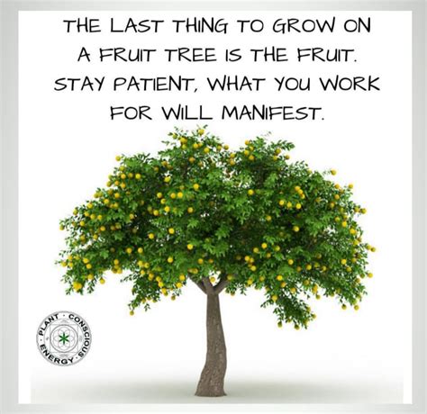 Fruit Tree Be - The Success Manual