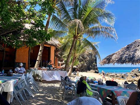 APO ISLAND BEACH RESORT - Specialty Resort Reviews & Photos - Tripadvisor