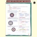 Pw Zoology Med Easy 2.0 for Neet and Board Exams 2025-26 | Flowcharts ...