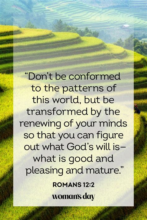 Image result for Scripture Bible Verses