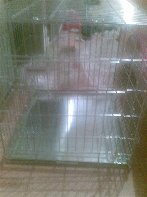 Kennel Hundekäfig Transportbox in Duisburg | Tiere | Kleinanzeigen