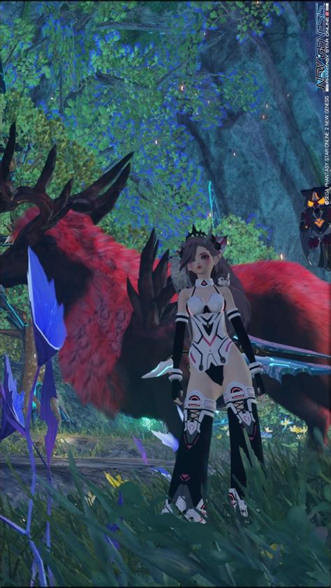 Image result for PSO2 Mag Stats