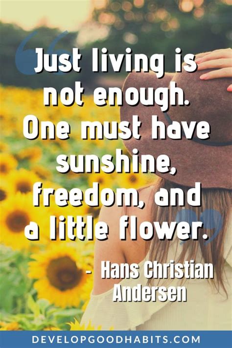 Image result for Lessons About Life