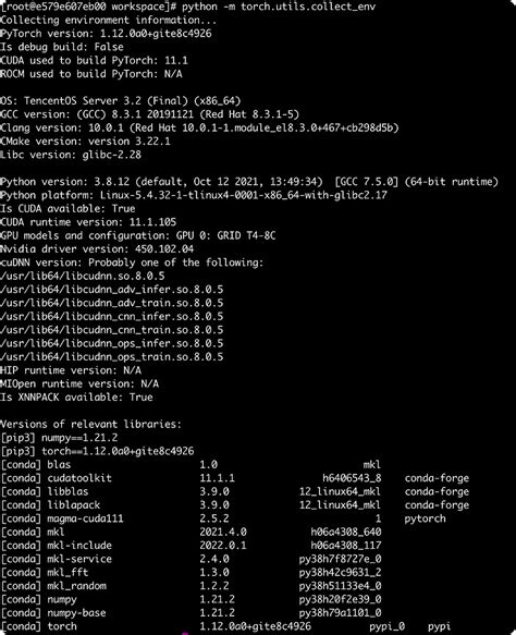 Python Pytorch Compatibility 的图像结果