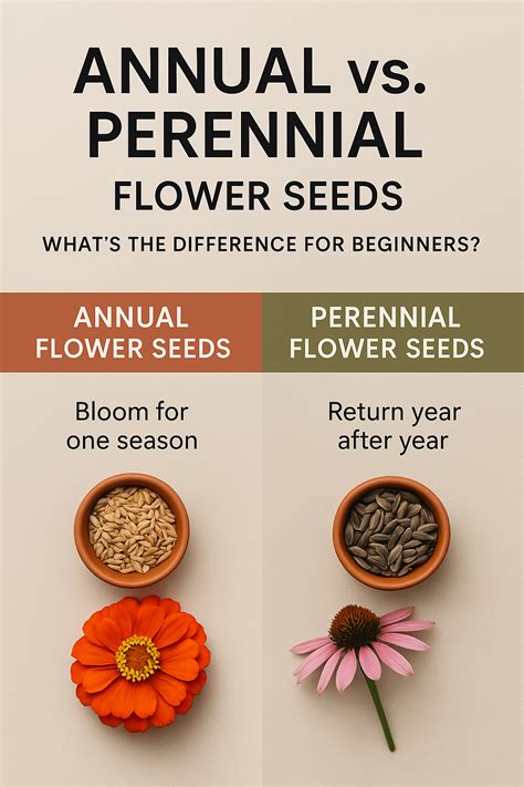 Annual vs. Perennial Flower Seeds – What’s the Difference for Beginners ...