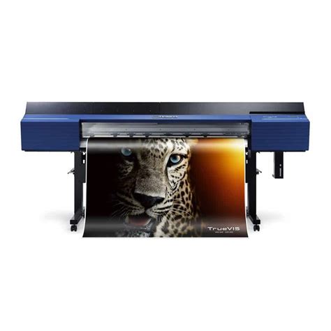 Image result for Advanced Color Solutions