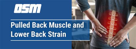 Image result for Left Lower Back Muscle Strain