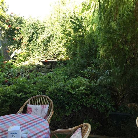 EMINAGA GARDEN CENTER CAFE, Kyrenia - Restaurant Reviews, Phone Number ...