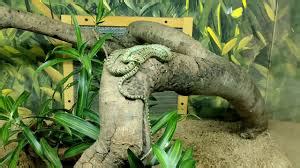 Snake Park Poojapura - Wildlife Attraction in Thiruvananthapuram ...