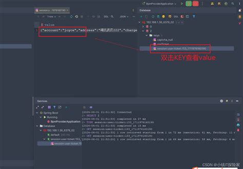 Redis Connection IntelliJ 的图像结果