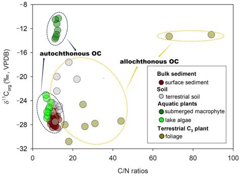 Spatial Distribution and Sources of Organic Matter in the Surface Sediments of Fuxian Lake, SW China