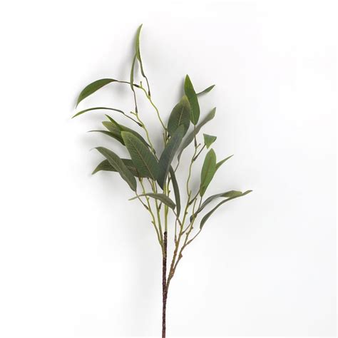 Buy Botanical Artificial Eucalyptus Branch - 70cm from Home Centre at ...