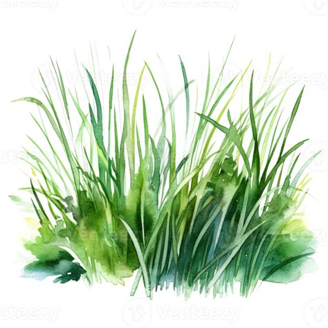 Image result for Watercolor Grass Tutorial