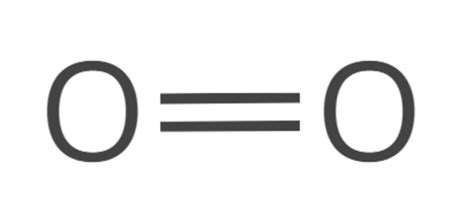 What is a Molecule? | Molecules and Matter | Science Wiki