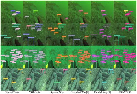 BG-YOLO: A Bidirectional-Guided Method for Underwater Object Detection