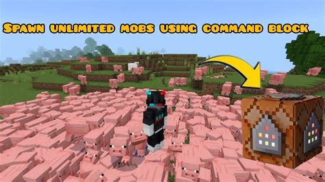 Image result for Minecraft Command Block Spawn Mobs