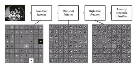 Image result for Biological Image Analysis Using R