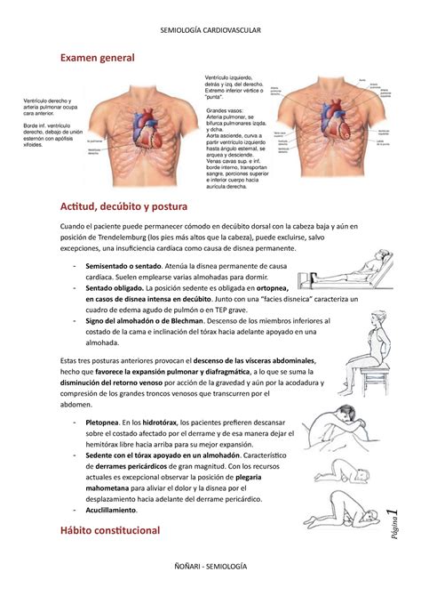Semio 02 Cardio 01 - Semiología cardiovascular - Página 1 Examen ...
